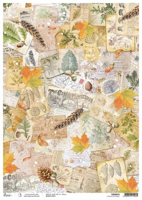 CBRM078 Decoupage Rice Paper Bloemen A3 Walk In The Forest Piuma Ciao